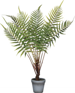 Potted Plant Fern 28"-Gray Pot